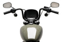 Anarchy Screen Black For Harley Davidson Softail Street Bob (FXBB) 2021-Current