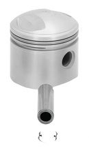 Piston Pin & Clips Bt48-77 +.080 Inch