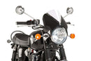 Vision Screen Black Fairing / Clear Screen
