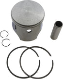 Piston Kit For Polaris Freedom 700 - Standard