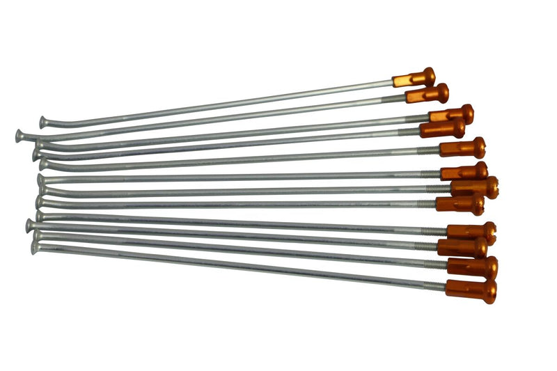 Spoke And Nipple Replacement Kit Orange / Silver