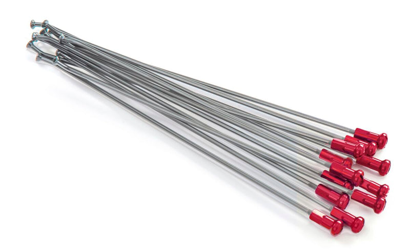 Spoke And Nipple Replacement Kit Red / Silver