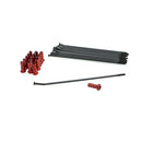 Spoke And Nipple Replacement Kit Black / Red - 14 Inch