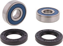 Wheel Bearing Kit | 02151299