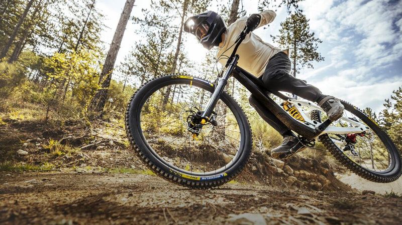 DH 16 Racing Black - 29" x 2.40"
