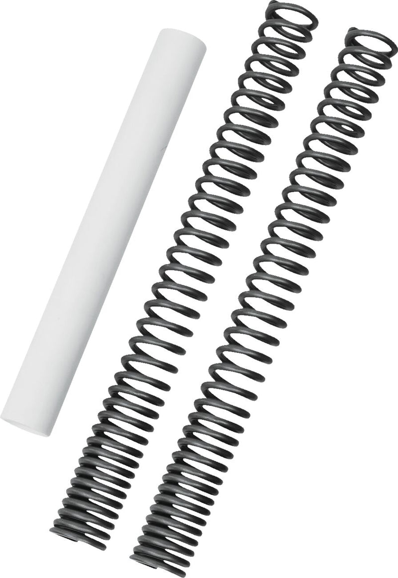 Fork Spring Kit