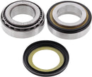 Steering Stem Tapered Roller Bearings And Seals Kit For Triumph AdventureR 900