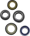 Steering Stem Tapered Roller Bearings And Seals Kit For Indian Challenger 108 ABS