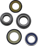 Steering Stem Tapered Roller Bearings And Seals Kit For Indian Challenger 108 ABS