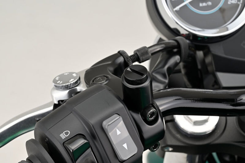 Mirror Plug Bolt Black | 06410314