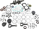 Engine Rebuild Kit For Arctic Cat Riot 8000