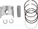 Piston Kit (Cast Replica) For TM Racing EN 300