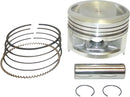 Piston Kit For Kawasaki KLF 250 2X4 - Standard
