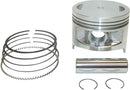 Piston Kit For Kawasaki KEF 300 2X4 - +1.00 MM
