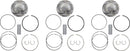Piston Kit For Ski-Doo (BRP) RENEGADE 900 ACE 2014-2023