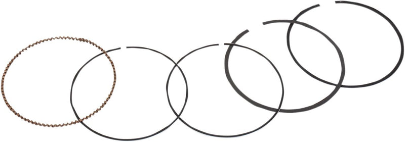 Piston Rings For Honda TRX 300 - Standard