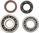 Main Crankshaft Bearing and Seal Kit For Yamaha YFS 200 1988-2006