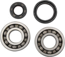 Main Crankshaft Bearing and Seal Kit For Yamaha WR 250 1991-1997