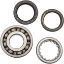 Main Crankshaft Bearing and Seal Kit For Honda CRF 250 R 2004-2011