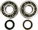Main Crankshaft Bearing and Seal Kit For Suzuki RM 250 2005-2008