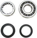 Crankshaft Bearing And Seal Kit For Honda CRF 250 X