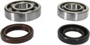 Crankshaft Bearing And Seal Kit For Yamaha YFS 200