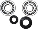 Crankshaft Bearing And Seal Kit For Yamaha YZ 250 X