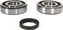 Crankshaft Bearing And Seal Kit For Yamaha YFZ 450 R