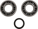 Crankshaft Bearing And Seal Kit For Suzuki RM-Z 250