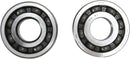 Crankshaft Bearing And Seal Kit For Suzuki RM-Z 450