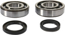 Crankshaft Bearing And Seal Kit For Suzuki RMX 450 Z