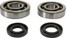 Crankshaft Bearing And Seal Kit For Kawasaki KX 100