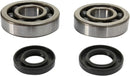 Crankshaft Bearing And Seal Kit For Kawasaki KX 100