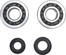 Crankshaft Bearing And Seal Kit For Kawasaki KX 100