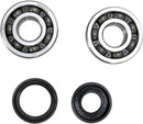 Crankshaft Bearing And Seal Kit For Kawasaki KX 125 F