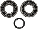 Crankshaft Bearing And Seal Kit For Kawasaki KX 250 F