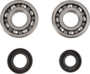 Crankshaft Bearing And Seal Kit For Kawasaki KX 250
