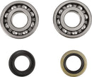 Crankshaft Bearing And Seal Kit For Kawasaki KX 500 A