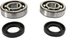 Crankshaft Bearing And Seal Kit For KTM SX 60