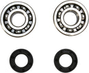 Crankshaft Bearing And Seal Kit For KTM SX 60