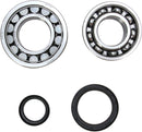 Crankshaft Bearing And Seal Kit For KTM EXC 250