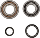 Crankshaft Bearing And Seal Kit For GasGas EC 250
