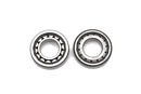 Crankshaft Bearing & Seal Kit For GasGas EC 500 F
