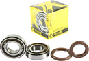 Crankshaft Bearing & Seal Kit For Husqvarna FC 250