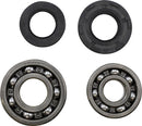 Main Bearing And Seal Kit For Suzuki DS 100 1978-1981