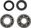 Main Bearing And Seal Kit For Yamaha IT 125 1980-1981