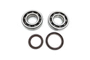 Crankshaft Bearing & Seal Kit For Beta RR 350