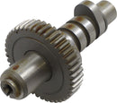A2 Grind Cam For Harley Davidson FLH 1984
