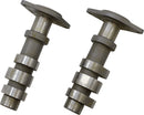 Cams For Victory Freedom Engines For Victory HAMMER 100 2005-2008