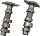Cams For Victory Freedom Engines For Victory HAMMER 100 2005-08